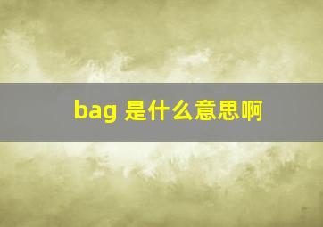 bag 是什么意思啊